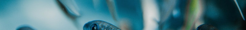 pexels-arthouse-studio-4621613